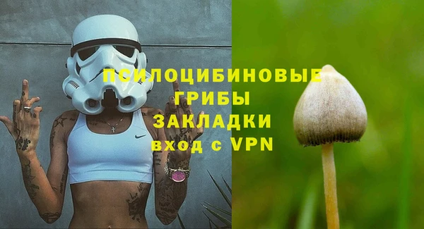 хмурый Балахна