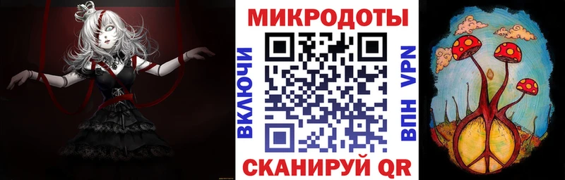 дарнет шоп  Сегежа  Галлюциногенные грибы Psilocybine cubensis 